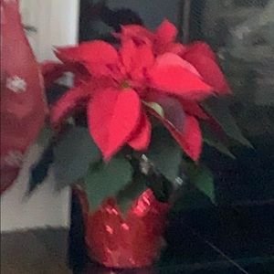 Meet your Posher, Gina